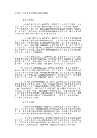 法院执行局队伍教育整顿自查自纠报告