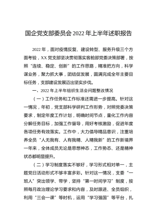 国企公司党支部委员会2022年上半年述职报告
