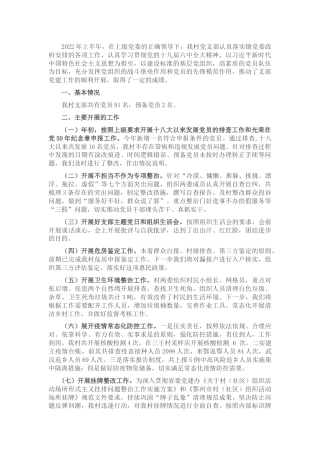 村党支部2022年上半年工作总结汇报