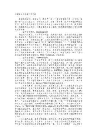 挂职副县长半年工作总结