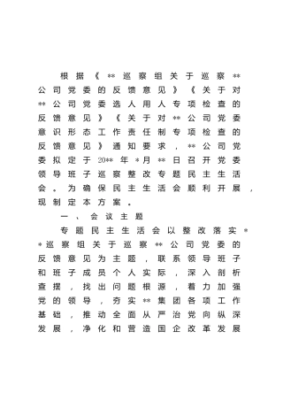巡察整改专题民主生活会工作方案（公司）