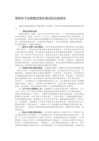 巡察整改落实情况自查报告4300字