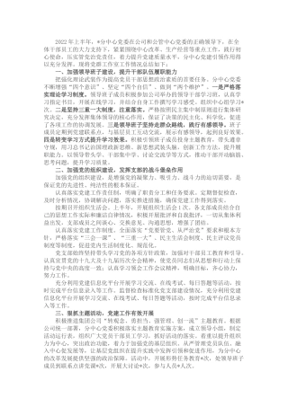 公司党群办公室上半年工作总结2900字