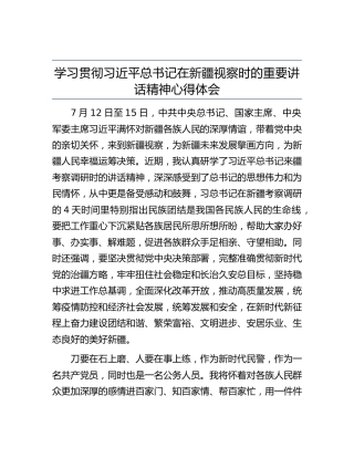 学习新疆视察时的重要讲话精神心得体会（公安）