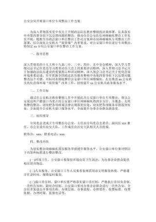 公安分局开展窗口单位专项整治工作方案