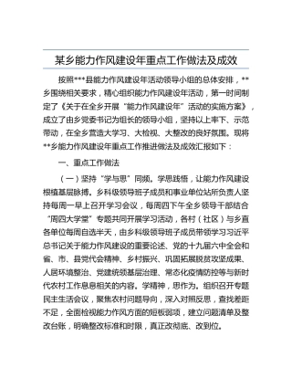 乡镇能力作风建设年重点工作做法及成效（总结）