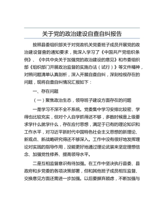 乡镇个人党的政治建设自查自纠报告