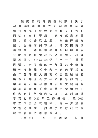 国企公司党支部组织生活会班子对照检查5400字