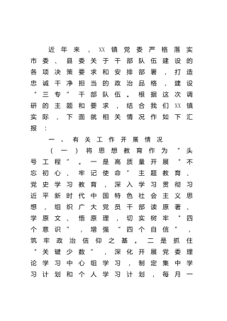 干部队伍建设调研座谈汇报（乡镇）