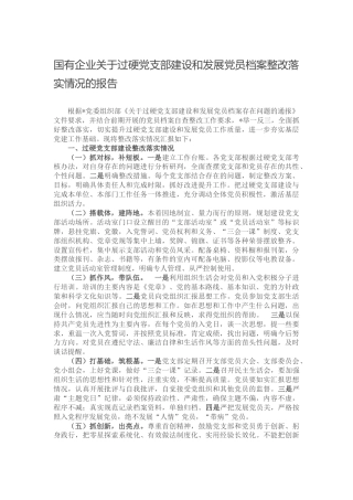国企公司过硬党支部建设和发展党员档案整改落实情况报告