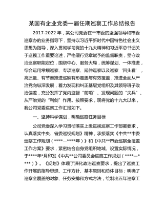 国企公司党委一届任期巡察工作总结报告