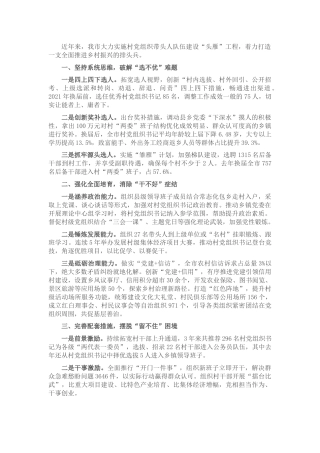 村党组织带头人队伍建设经验汇报