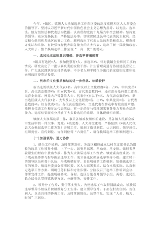 人大换届选举工作总结