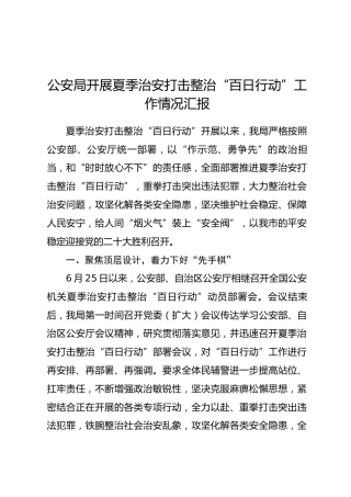 公安系统开展夏季治安打击整治“百日行动”工作总结汇报