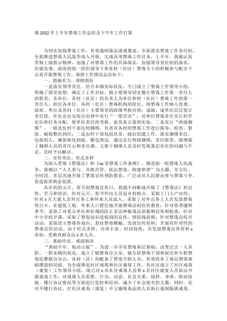 乡镇2022年上半年禁毒工作总结及下半年工作打算