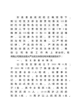 公司党支部落实全面从严治党主体责任工作总结汇报3200字
