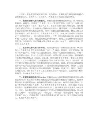 党建引领乡风文明经验交流