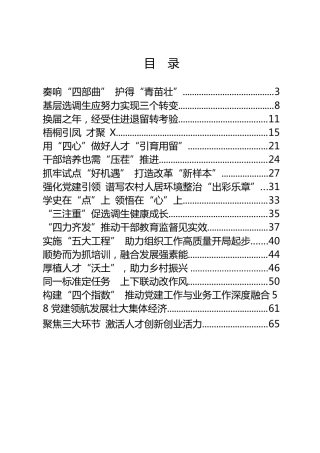 党建、组织、人才、年轻干部等工作经验材料合集20篇