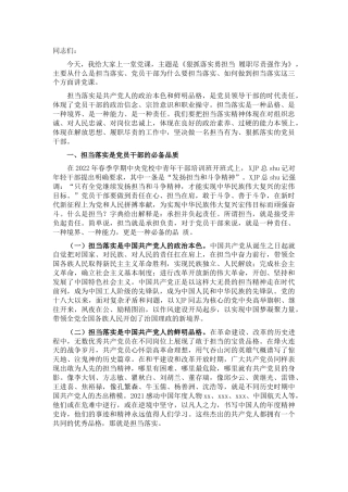 党课：狠抓落实勇担当 履职尽责强作为