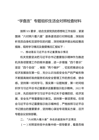 “学查改”专题组织生活会对照检查材料1