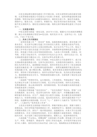 国企党支部标准化规范化建设工作总结(公司)