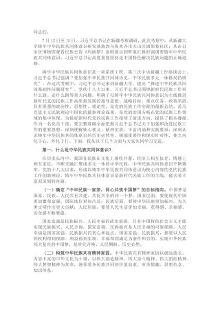 党课：聚焦“六个基础” 坚定不移铸牢中华民族共同体意识（新疆）