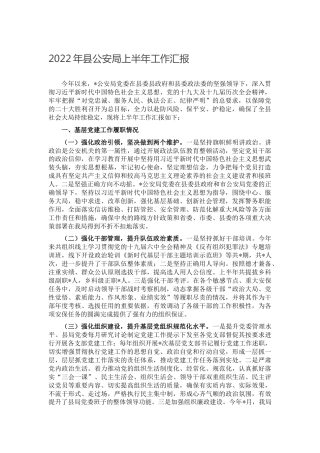 2022年公安局上半年工作汇报