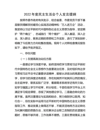 2022年度民主生活会个人对照检查2500字（察民情解民忧暖民心）