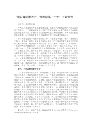 “旗帜鲜明讲政治 青春献礼二十大”主题党课（税务）