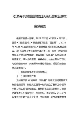巡察回头看反馈意见整改情况总结报告3300字（乡镇街道）