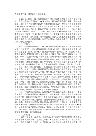 青年理论学习小组理论学习情况汇报
