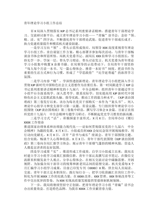 青年理论学习小组工作总结