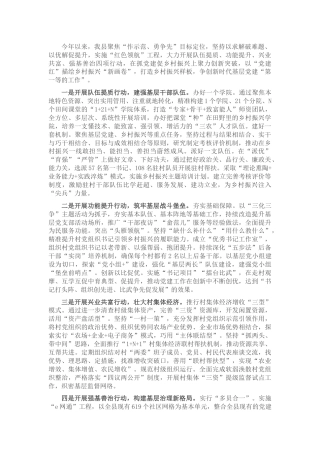 农村党建“四大行动”助力乡村振兴总结汇报