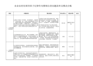 领导班子纪律作风整顿自查问题清单及整改台账（农业农村）