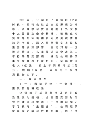 集团公司领导班子述职报告5300字