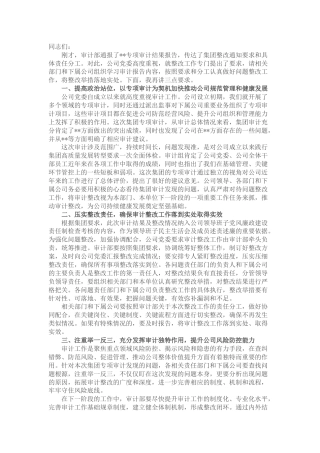 国企领导在审计整改启动会上的讲话（公司）