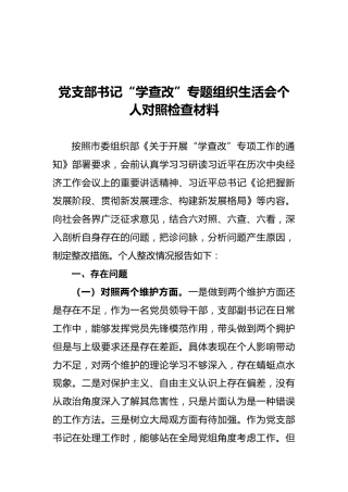党支部书记“学查改”专题组织生活会个人对照检查1600字