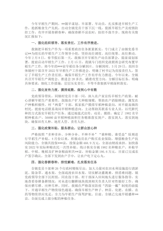 乡镇早稻生产情况汇报