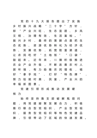 乡镇乡村振兴工作纪实