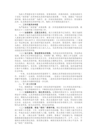 乡镇人民政府关于优化营商环境工作情况的报告