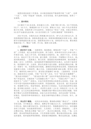 乡镇农村人居环境整治工作汇报