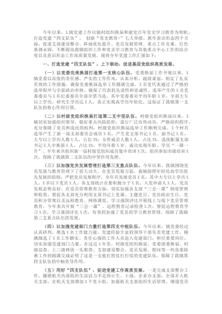 乡镇党建工作情况总结汇报4300字