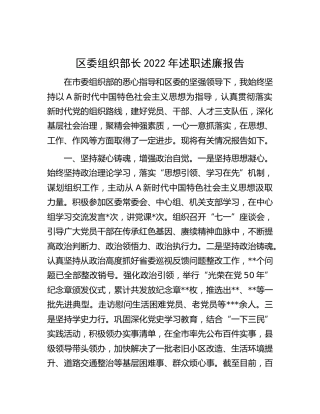 组织部长2022年述职述廉报告