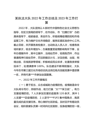 执法大队2022年工作总结及2023年工作打算