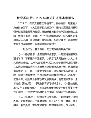学校党委副书记2022年度述职述德述廉报告