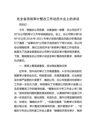 在全系统审计整改工作动员大会上的讲话
