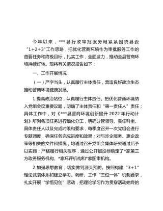 行政审批服务局营商环境工作总结报告