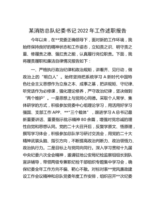 消防系统纪委书记2022年工作述职报告