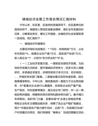 镇域经济发展工作落实情况汇报（乡镇）