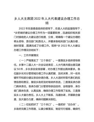 乡镇人大主席团2022年人大代表建议办理工作总结